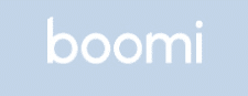 Boomi artificial intelligence